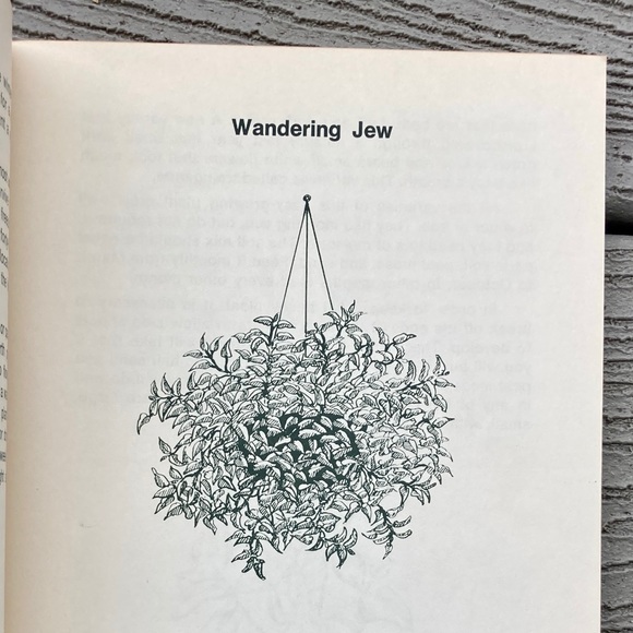 1973 Gardening with Hanging Baskets Rex E. Mabe Vintage Gardening Book Gift Idea - Picture 5 of 12